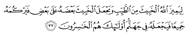 تصاویر آیات قرآن  آیه 1197