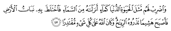 تصاویر آیات قرآن  آیه 2185