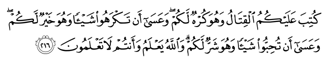 تصاویر آیات قرآن  آیه 223