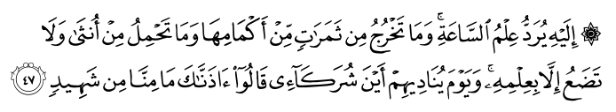 تصاویر آیات قرآن  آیه 4265