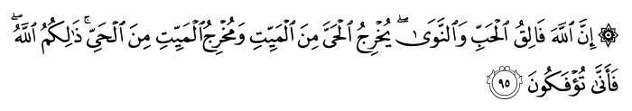 تصاویر آیات قرآن  آیه 884