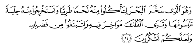 تصاویر آیات قرآن  آیه 1915