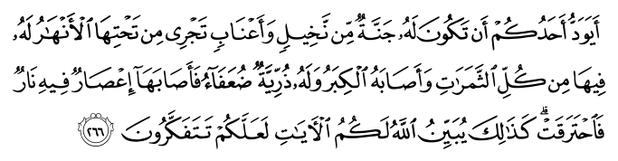 تصاویر آیات قرآن  آیه 273
