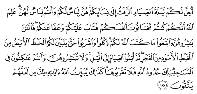 تصاویر آیات قرآن  آیه 194