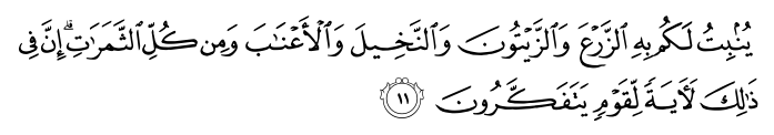 تصاویر آیات قرآن  آیه 1912