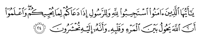 تصاویر آیات قرآن  آیه 1184