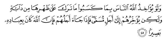 تصاویر آیات قرآن  آیه 3705