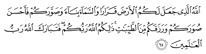 تصاویر آیات قرآن  آیه 4197
