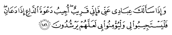تصاویر آیات قرآن  آیه 193