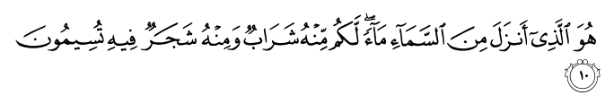 تصاویر آیات قرآن  آیه 1911