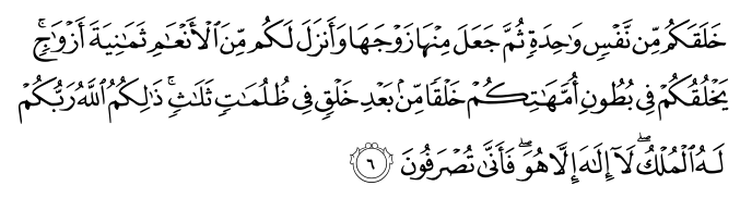 تصاویر آیات قرآن  آیه 4064