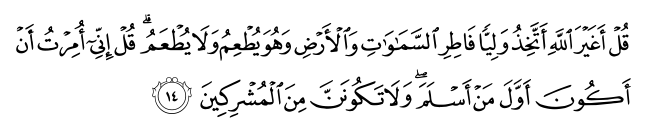 تصاویر آیات قرآن  آیه 803