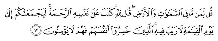 تصاویر آیات قرآن  آیه 801