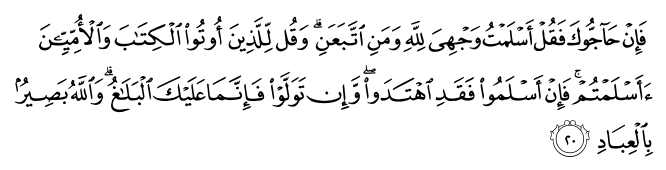 تصاویر آیات قرآن  آیه 313