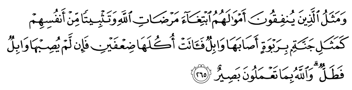 تصاویر آیات قرآن  آیه 272